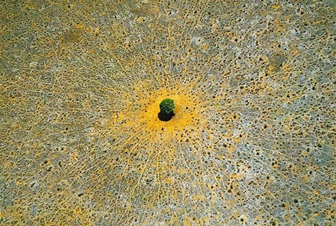 Legacy - Das Erbe der Menschheit Trailer OV