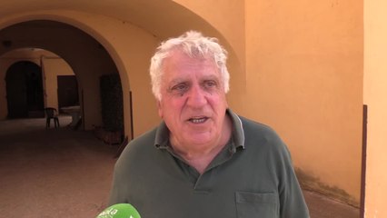 Cinghiali, agricoltore: "Rischiamo di non poter piu' coltivare"