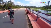 Heboh! Orang Utan Dikawal TNI di Jembatan Kotawaringin Lama