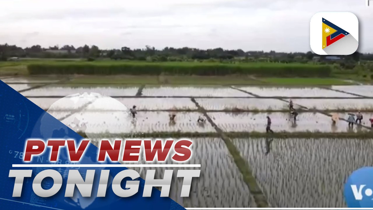 Thai rice demand seen to rise this year as Russia-Ukraine war continues