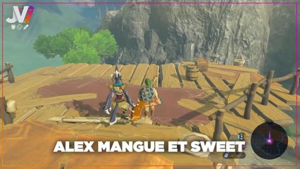 Daily : Zelda Breath of the Wild a enfin un mode online !