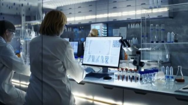 Scienze umane e sociali necessarie per comprendere la complessità