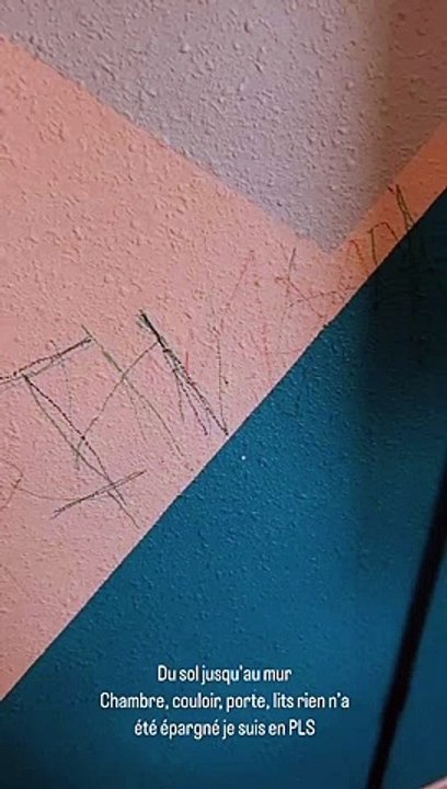 Rofrane Bambara (Familles nombreuses) dévoile les dégâts causés par ses quadruplés chez elle - Instagram