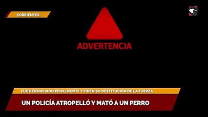 Un policía atropelló y mató a un perro