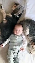 They are friends of mankind.