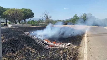 Signa (Firenze), incendio di sterpaglie minaccia le case - Fotocronache Germogli
