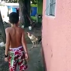 Eu não tenho medo de você