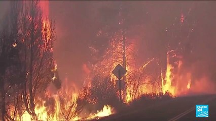 Climat: La décision de la Cour suprême américaine marque un "recul", selon l'ONU