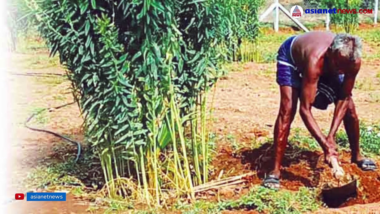 മകന്‍ കേന്ദ്രമന്ത്രി, പാടത്ത് പണിയെടുത്ത് മാതാപിതാക്കള്‍; ഇവര്‍ ഹീറോസ് എന്ന് സോഷ്യല്‍മീഡിയ