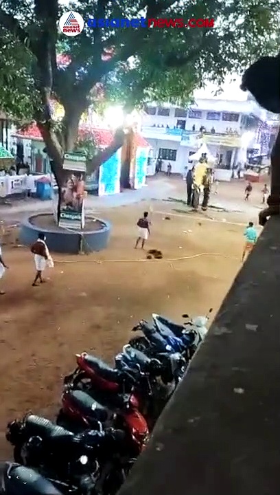 പഞ്ചവാദ്യം കൊട്ടിക്കലാശത്തിലേക്ക്; ഇടഞ്ഞ് ഊട്ടോളി അനന്തന്‍; ഒടുവില്‍ തളച്ചു