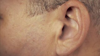 Human Middle Ear Evolved From Fish Gills, Study Suggests