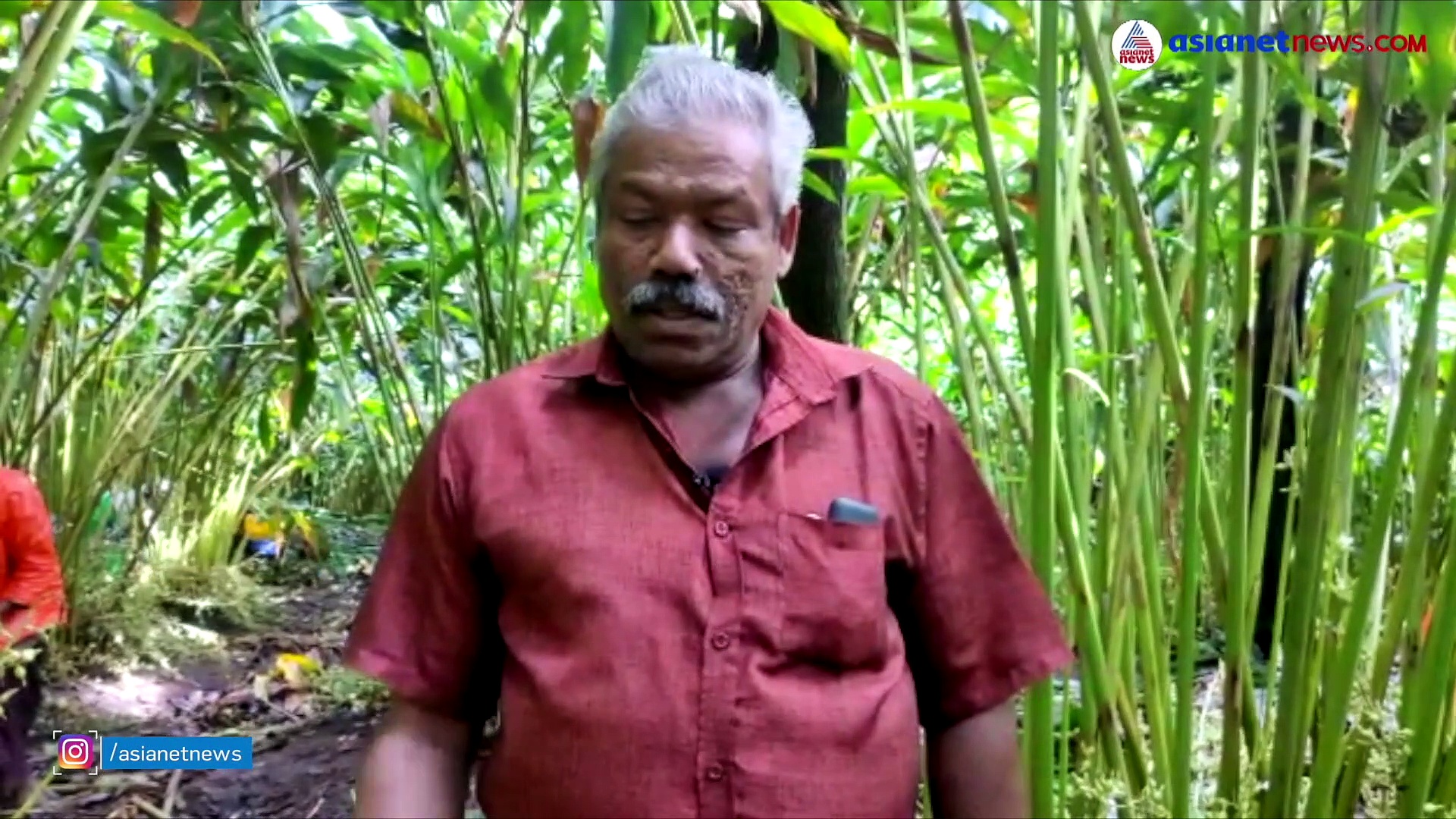 ഹൈറേഞ്ചിറങ്ങി വരുന്നൂ ഏലയ്ക്ക, സു​ഗന്ധവ്യഞ്ജനങ്ങളുടെ റാണി ഓണക്കിറ്റിലെത്തുന്ന കഥയറിയാം..