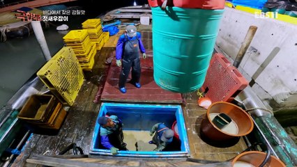 극한직업 - Extreme JOB_바다에서 찾은 감칠맛 새우젓과 다시마_#002