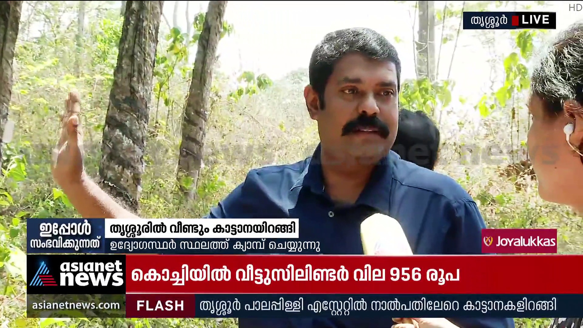Wild Elephant Menace : തൃശൂരിൽ വീണ്ടും കാട്ടാനയിറങ്ങി; പാലപ്പിള്ളി റബർ എസ്റ്റേറ്റിൽ 40ലേറെ കാട്ടാനകൾ