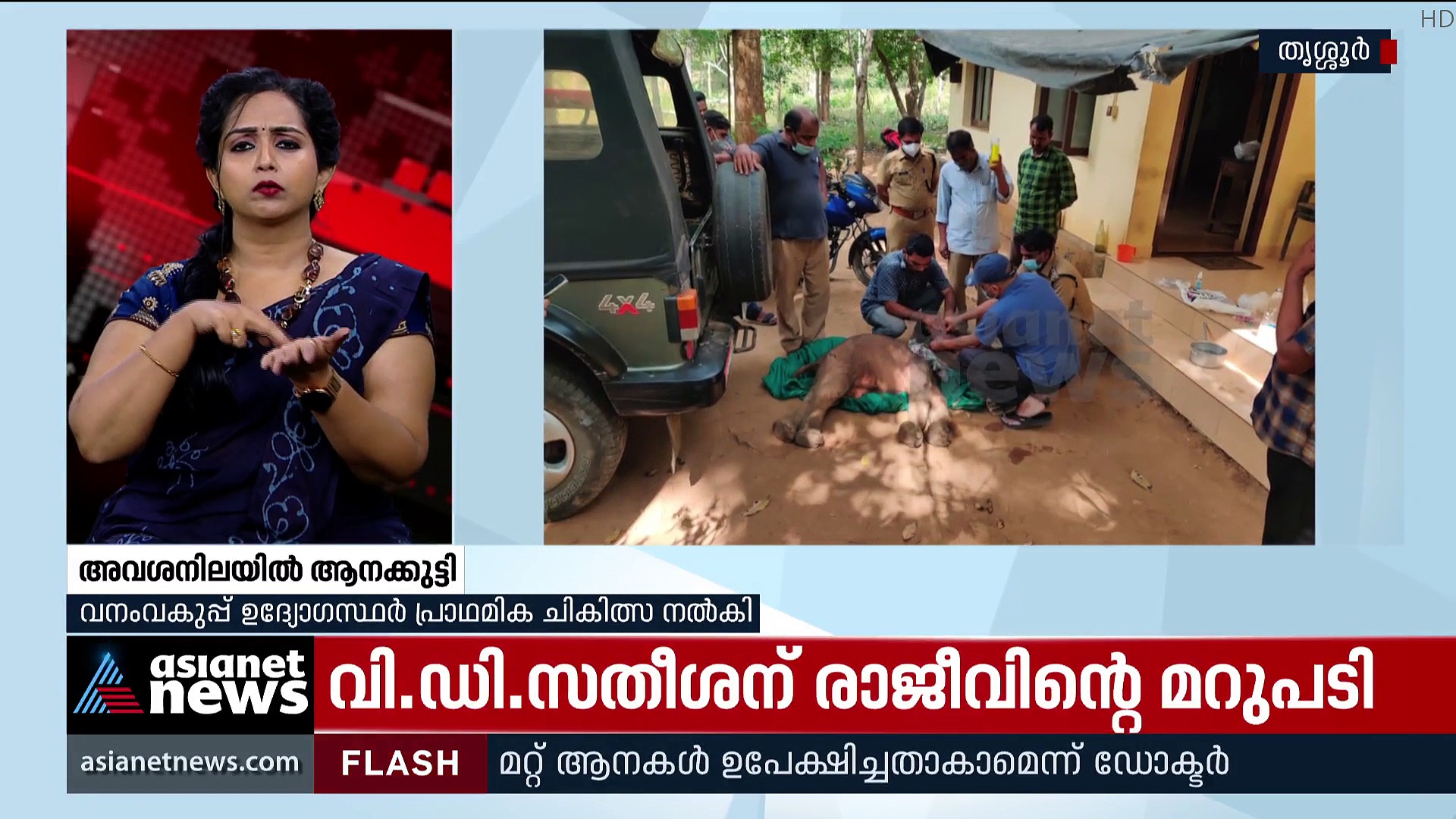 തൃശൂർ ചിമ്മിനി കാട്ടിൽ അവശനിലയിൽ ഒരുമാസം പ്രായമായ ആനക്കുട്ടിയെ കണ്ടെത്തി