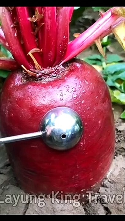 Rilexing Fruit cutting
