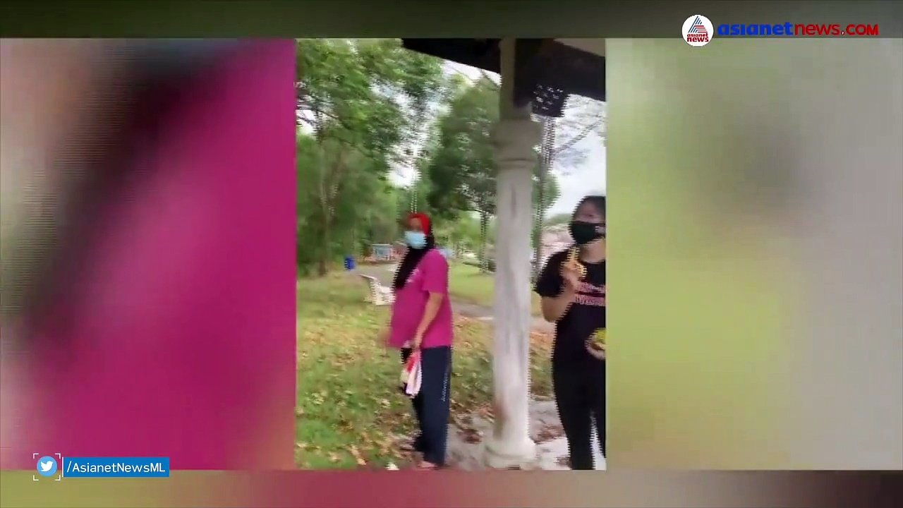 രണ്ടാഴ്ച മാത്രം പ്രായമുള്ള നായക്കുട്ടിയെ തട്ടിക്കൊണ്ടുപോയി കുരങ്ങന്‍; പെടാപാടുപെട്ട് നാട്ടുകാര്‍, വീഡിയോ