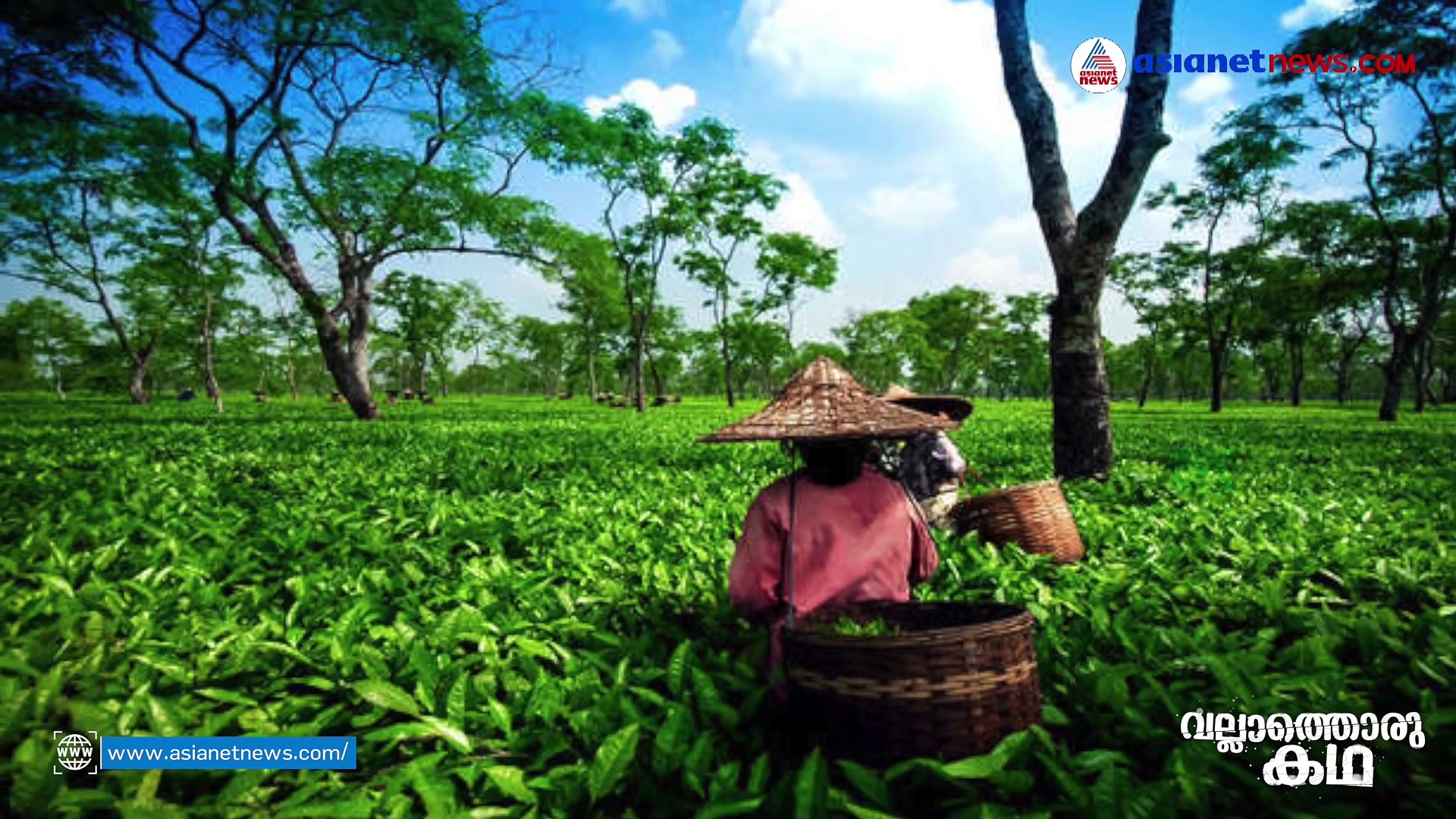 അന്തമില്ലാതെ നീളുന്ന അസമിലെ സംഘർഷങ്ങൾ