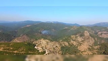 Son dakika haber: İZMİR'İN İKİ İLÇESİNDE ORMAN VE OTLUK YANGINI
