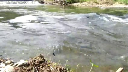Hear And Look At The Peaceful River To Feel Relaxed - Mental Comfort