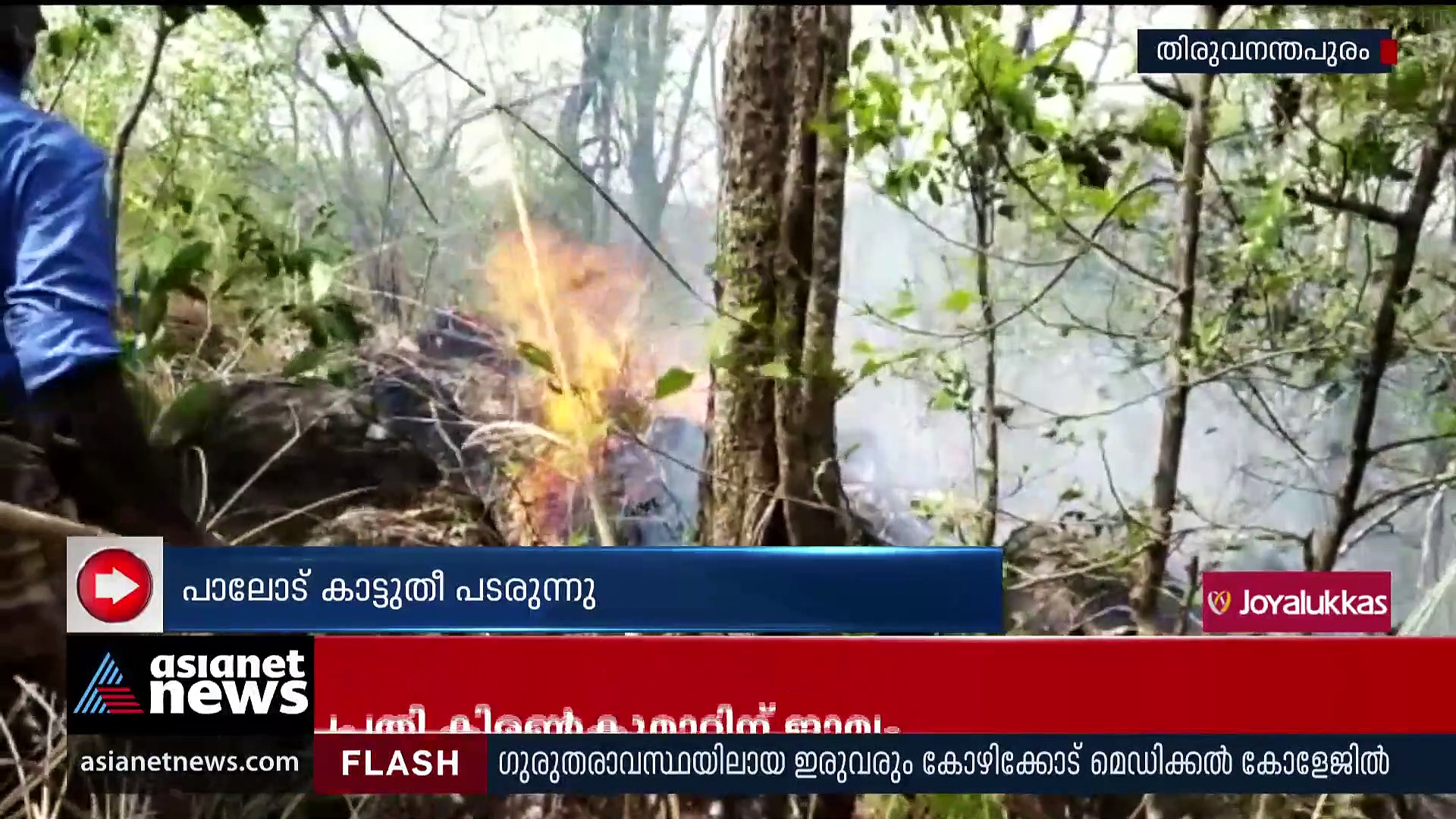 പാലോട് കാട്ടുതീ പടരുന്നു