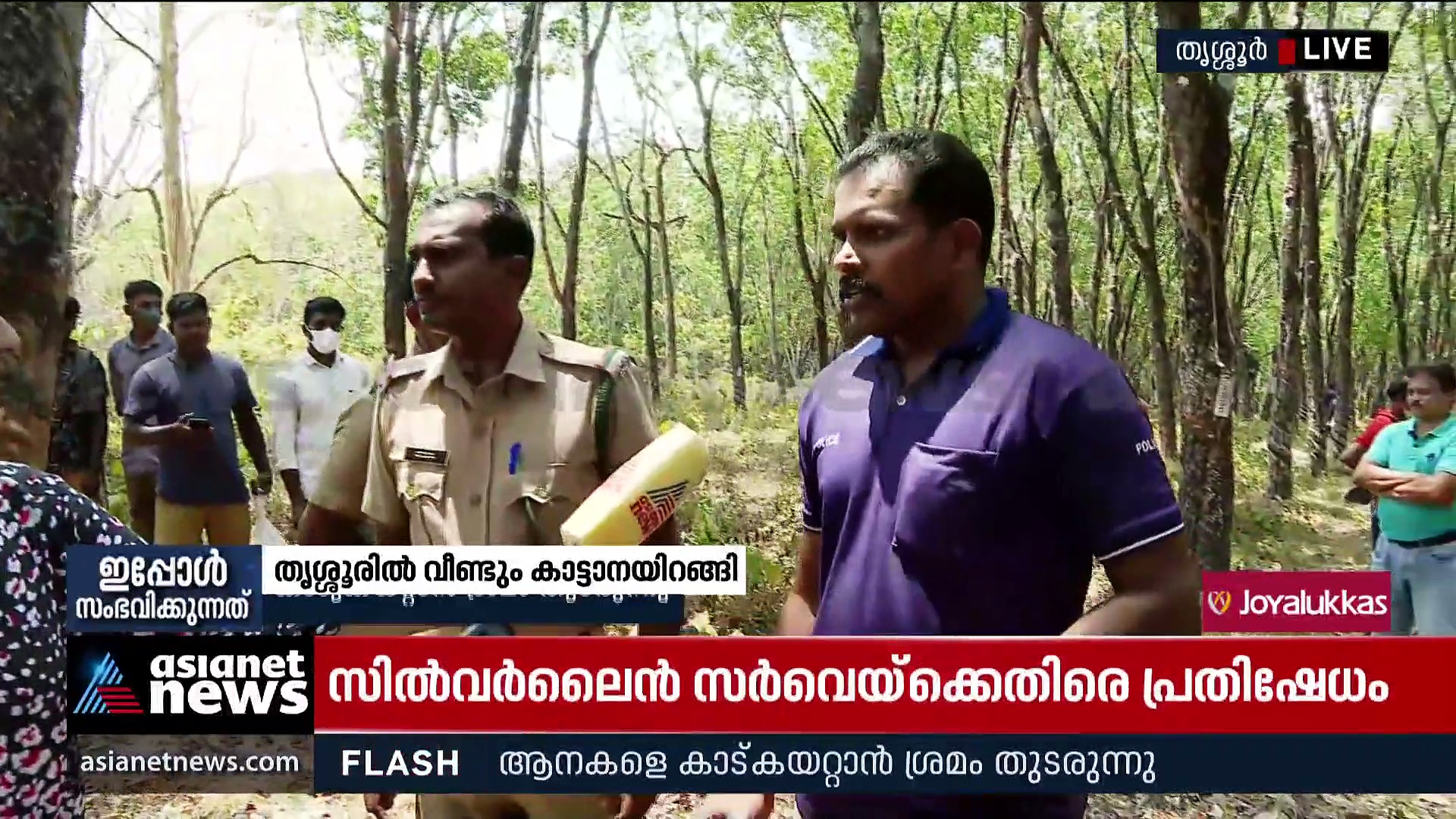 Wild Elephants : തൃശ്ശൂരില്‍ റബ്ബര്‍ എസ്‌റ്റേറ്റില്‍ 40ലേറെ കാട്ടാനകള്‍! കാടുകയറ്റാന്‍ ശ്രമം തുടരുന്നു