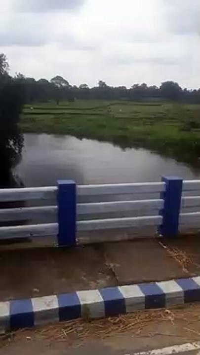 Short video