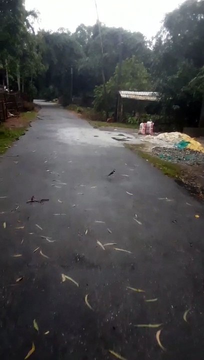Short video