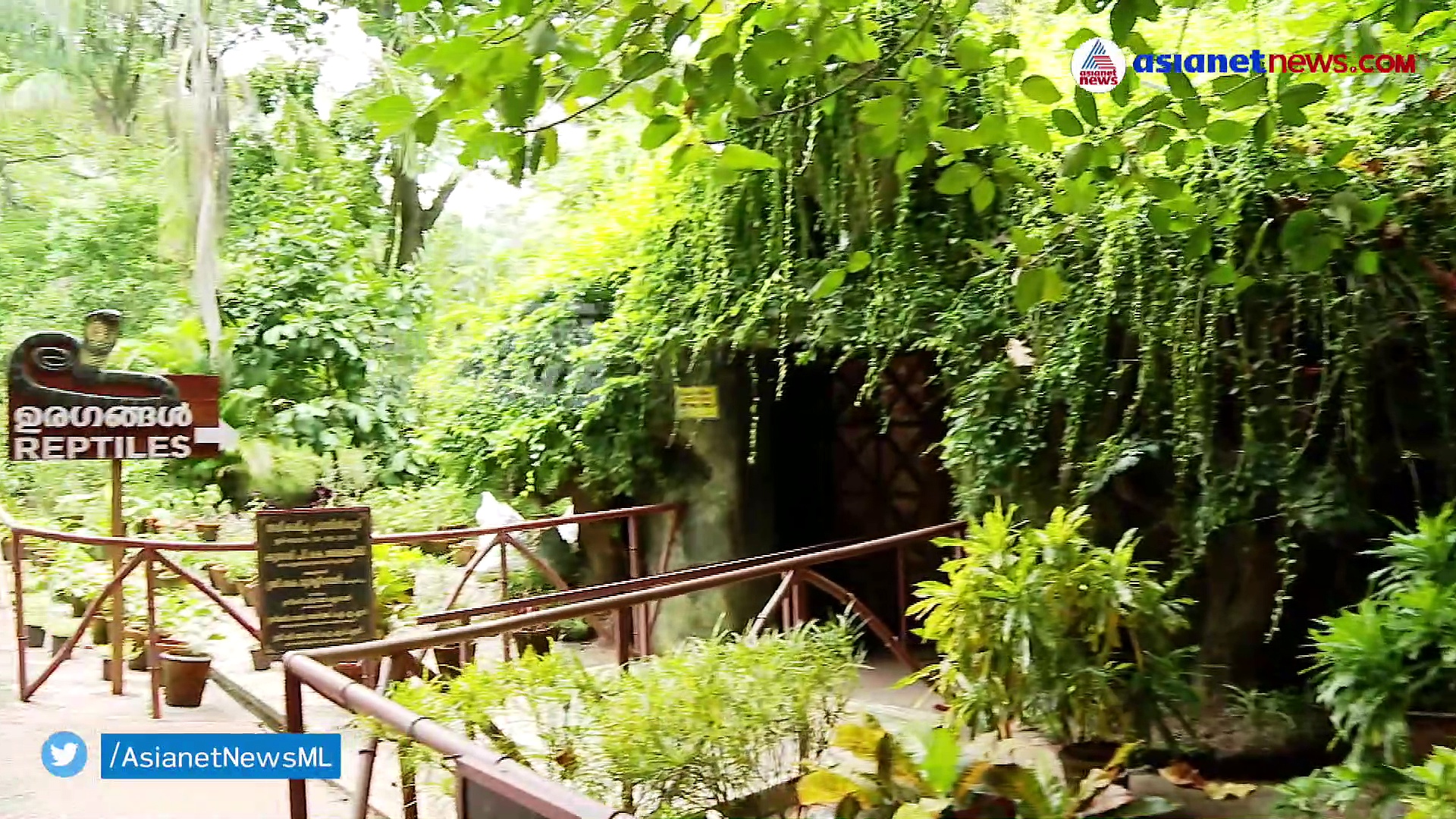 രാജവെമ്പാലയുടെ കടിയേറ്റിട്ടും സഹപ്രവര്‍ത്തകരെ സുരക്ഷിതരാക്കി മടക്കം;വിയോഗത്തില്‍ നടുങ്ങി സുഹൃത്തുക്കളും നാടും