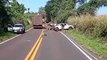Condutor colide caminhonete roubada em barranco entre Serra dos Dourados e Ivaté