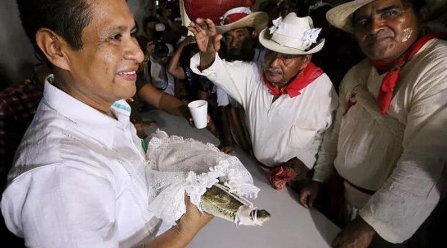 Meksika’da belediye başkanı timsahla evlendi