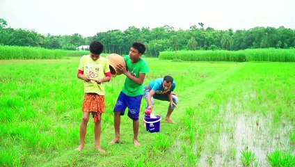 Sister And Brother Love New Funny Video 2020_Try To Not Laugh_Episode-59_By haha Idea