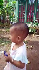 Main bareng burung merpati..