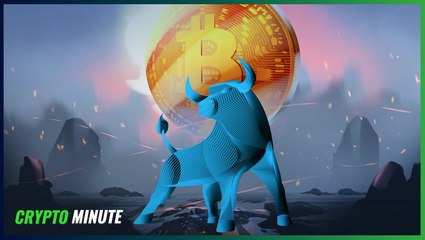 How Are Bitcoin’s Biggest Bulls Approaching the Selloff?