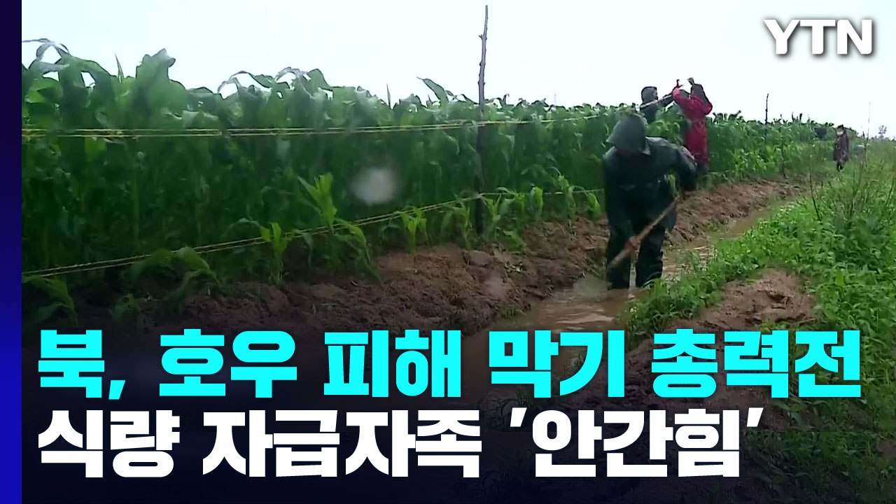 北, 호우 피해 막기 총력전...식량 자급자족 '안간힘' / YTN