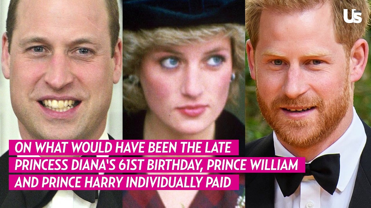 Prince William and Prince Harry Honor Late Mom...