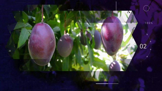 Reporte Climático 48 | Hacia una economía climática en América Latina