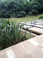 alam sekitar bogor