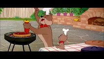 Tom & Jerry - Tom & Jerry in Full Screen - Classic Cartoon Compilation