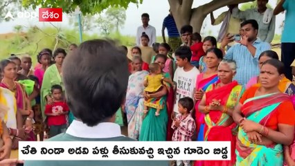 Mulugu MLA Seethakka : లా స్టూడెంట్స్ తో కలిసి గిరిజన పేద విద్యార్థులకు సీతక్క సాయం | ABP Desam