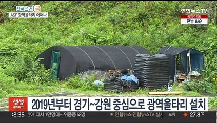 ASF 저지 목적 1,600km 광역울타리 '애물단지'…처리 고심