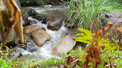 The Poetic River Lies At The Foot Of The Mountain - Discover The Peaceful Beauty