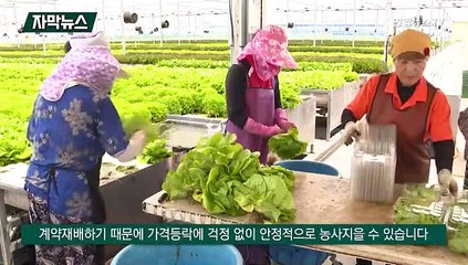 [자막뉴스] "먹어도 살 안 찐다"…저칼로리 간편식 샐러드 인기