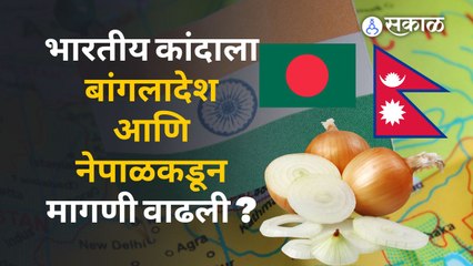 Indian Onion | कांदा निर्यात उत्पन्नात का वाढ झाली ? | Demand |Sakal Media
