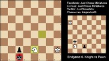 Basci chess endgames. Knight vs pawn. Part 1