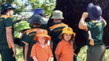 Tiny outback towns vying to make dinosaur the QLD emblem