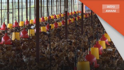 Kenaikan Harga Barang | Kerajaan tak berpeluk tubuh - Perdana Menteri