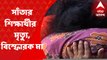 Howrah Death: ৯ বছরের সাঁতার শিক্ষার্থীর মর্মান্তিক মৃত্যু, বিস্ফোরক অভিযোগ মায়ের I Bangla News
