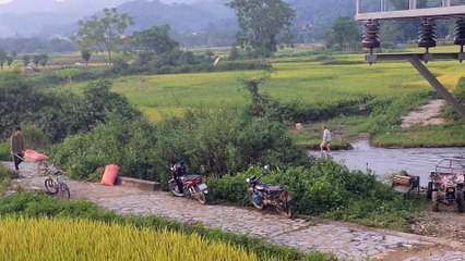 The Sun And The Field Are So Beautiful Countryside Place - Peaceful Scenery