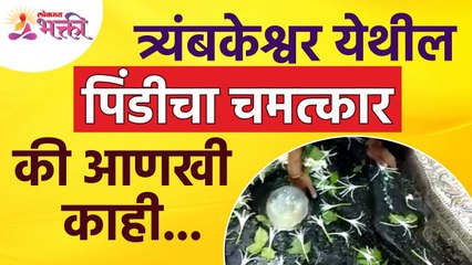 Nashik Trimbakeshwar Temple : त्र्यंबकेश्वरच्या पिंडीवर पुन्हा दिसला चमत्कारिक बर्फ | Lokmat Bhakti